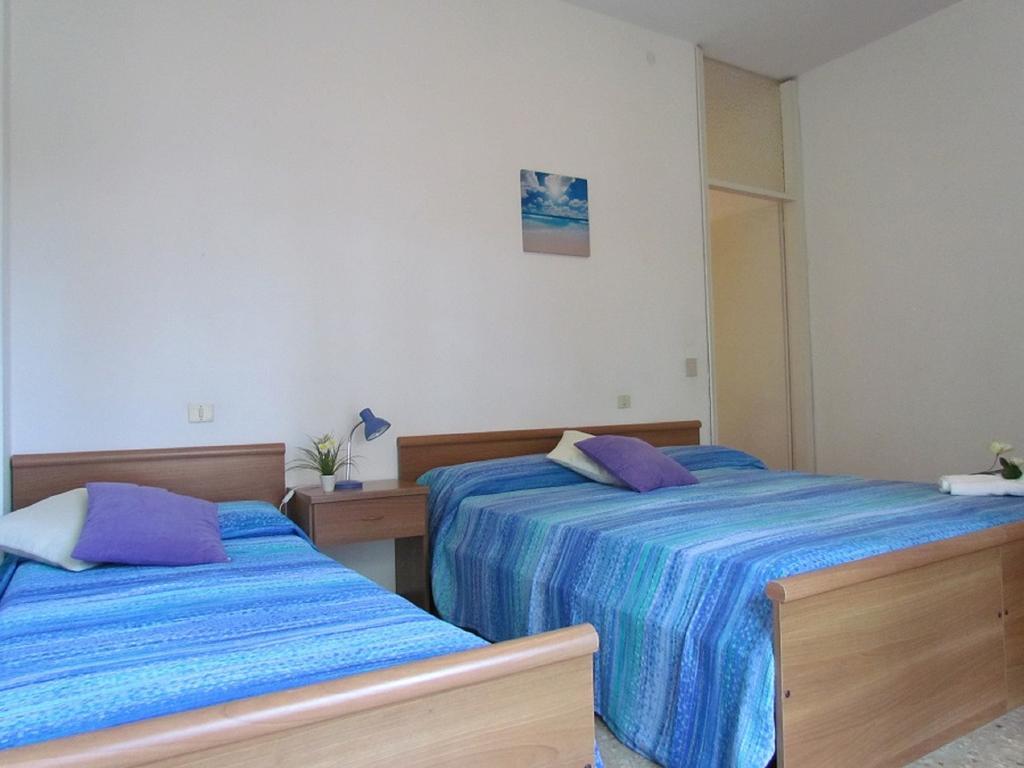 Apartment Codan & Fransi